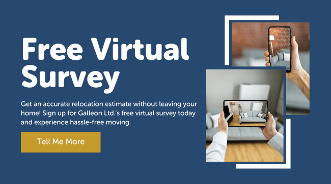 Free virtual survey design one